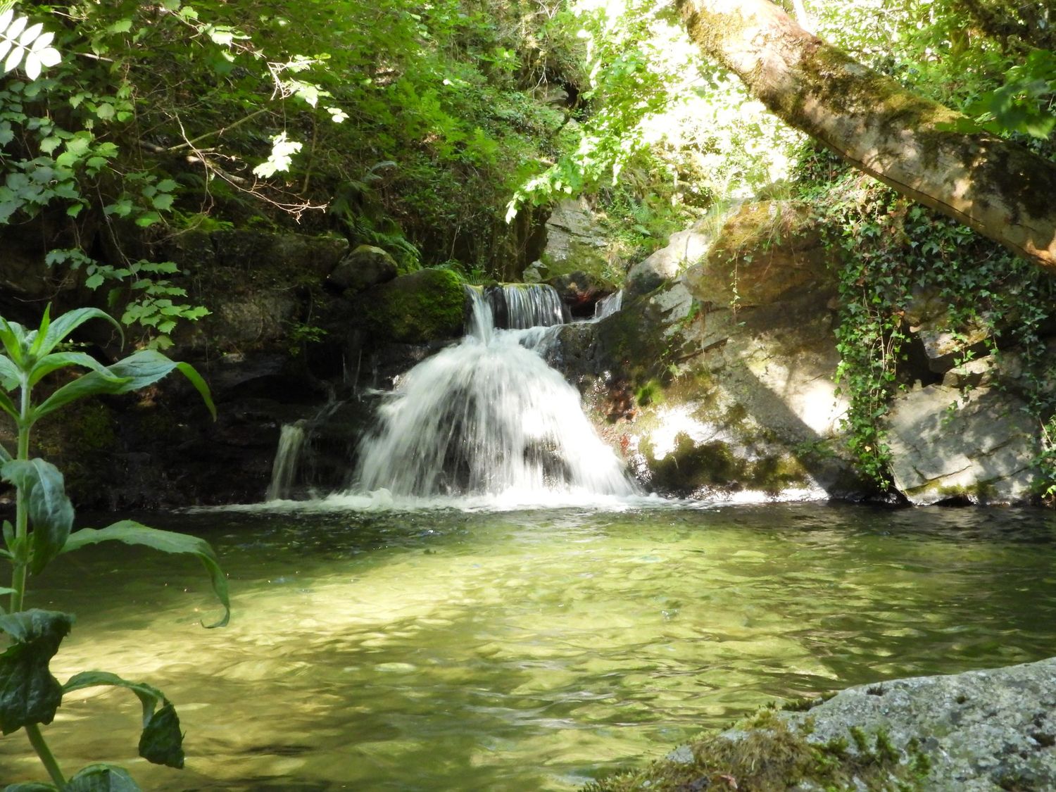 NatureBliss