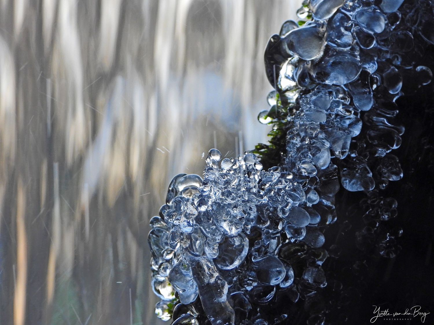 Ice crystals