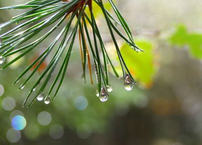Rainy Day Rainy Day