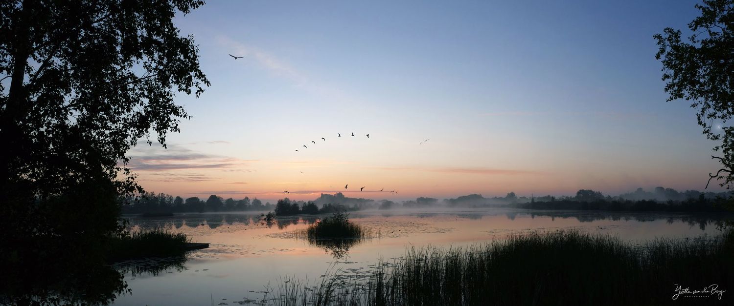 Morning Bliss