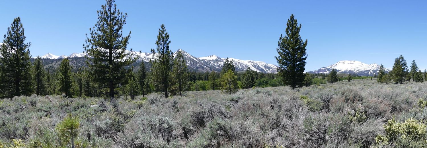 Sierra Nevada