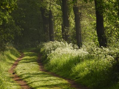 Walk with me
