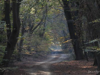 Autumn Walk Autumn Walk