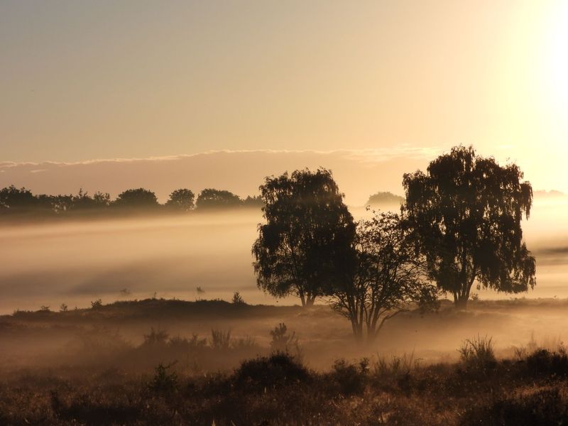 Zonsopkomst op de heide