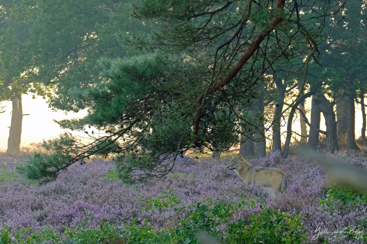 Puur NatuurGeluk