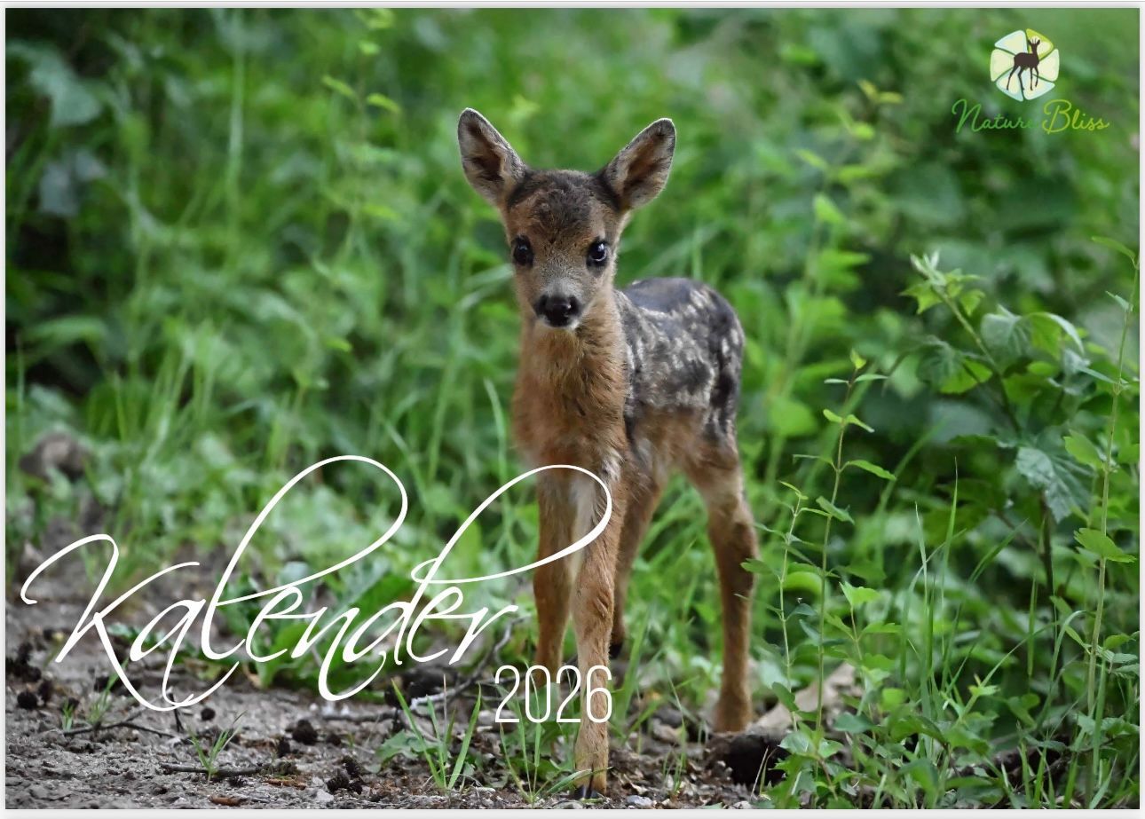 Jaarkalender NatureBliss 2026 -A3 formaat