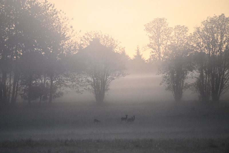 Wandelen en wildspotten in de Ardennen voor 2 personen van 12-15 juni 2026