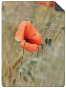 Luxe Plaid Orange Dream - maat L (200x150 cm.) Luxe Plaid Orange Dream - maat L (200x150 cm.)