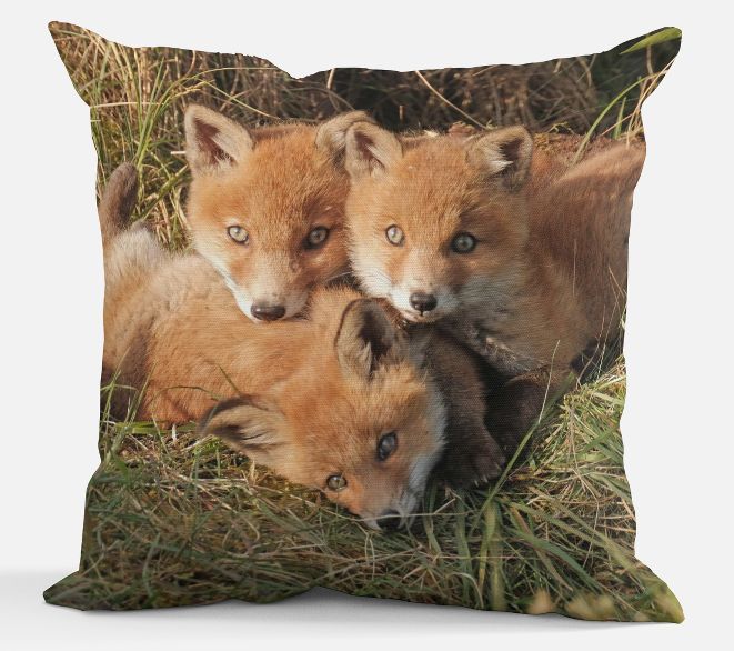 Sierkussen - 3 jonge vosjes