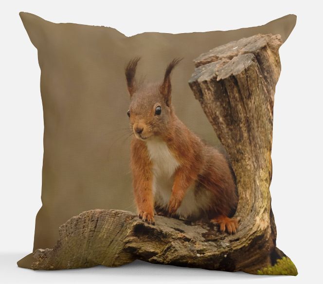Sierkussen - Eekhoorn