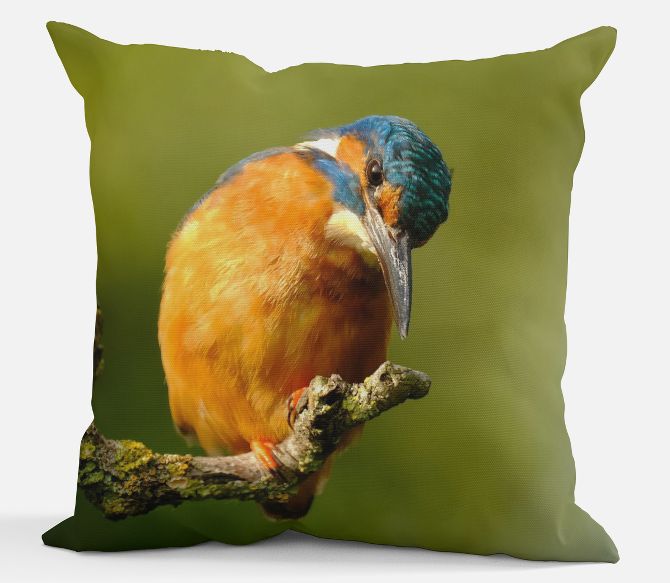 Sierkussen - IJsvogel Goud