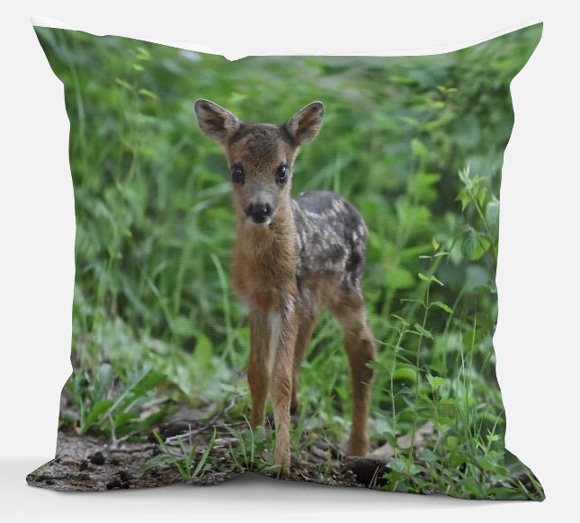 Sierkussen - Jong Reekalf Sierkussen - Jong Reekalf