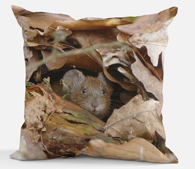 Sierkussen - Bosmuis