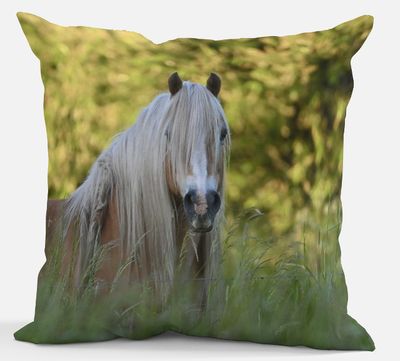 Sierkussen - Paard