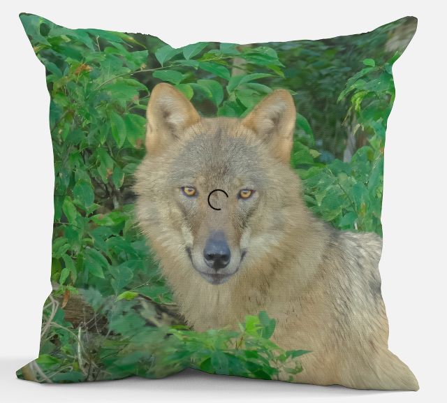 Sierkussen - Wolf Bram