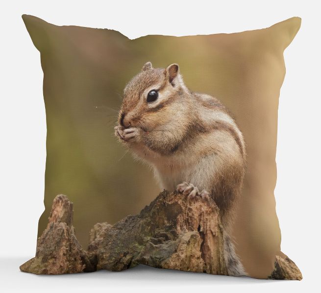 Sierkussen - Siberische Grondeekhoorn