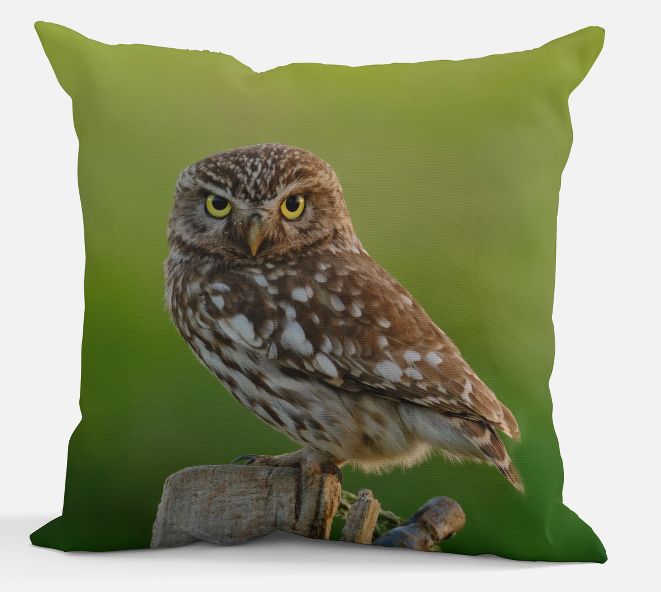 Sierkussen - Steenuil