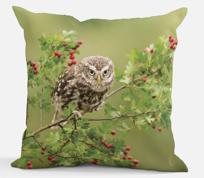 Sierkussen - Steenuiltje Frannie