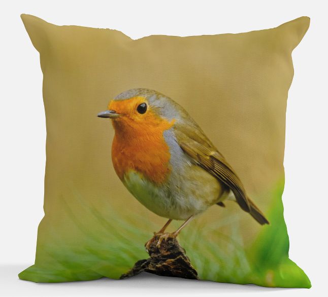 Sierkussen - Roodborstje Sierkussen - Roodborstje