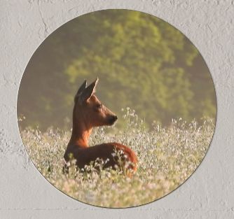 Wandcirkel Ree in boekweit