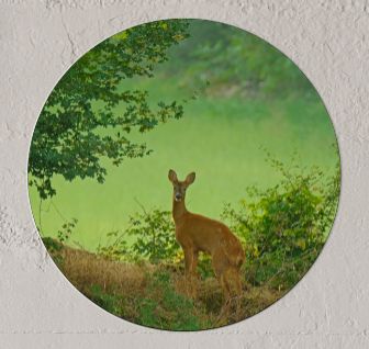 Wandcirkel Ree in het groen