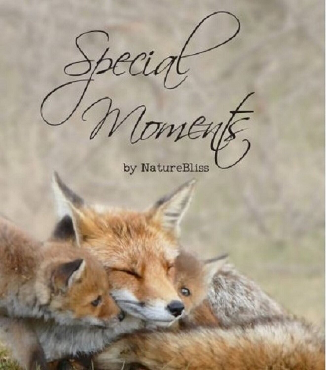 Special Moments kalender