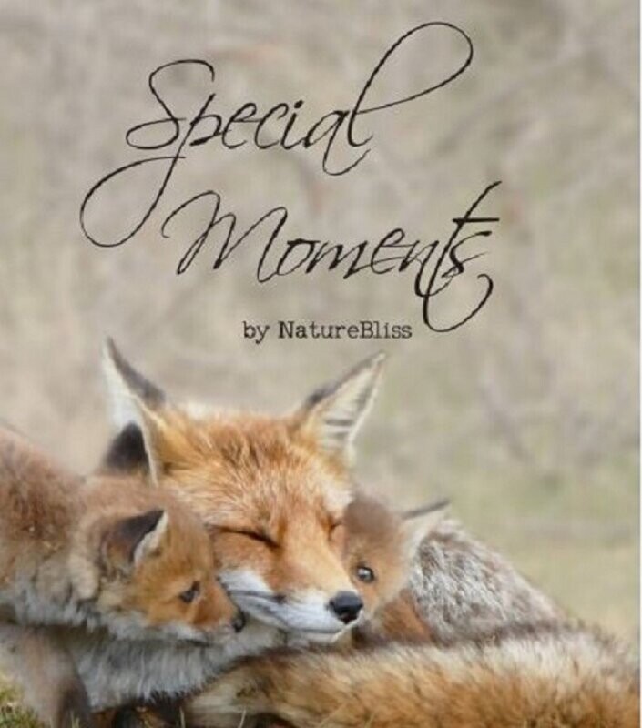 Special Moments kalender