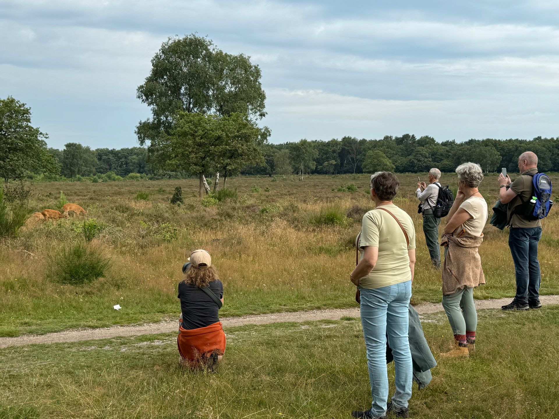 Reeënbronst bij Hilversum - 9 augustus 2026