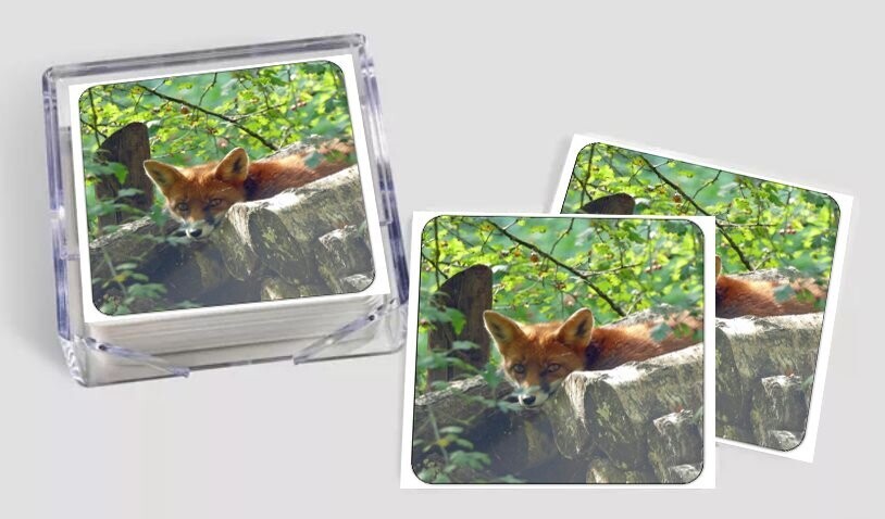 Onderzetter - Dieren Divers - 6 stuks Onderzetter - Dieren Divers - 6 stuks