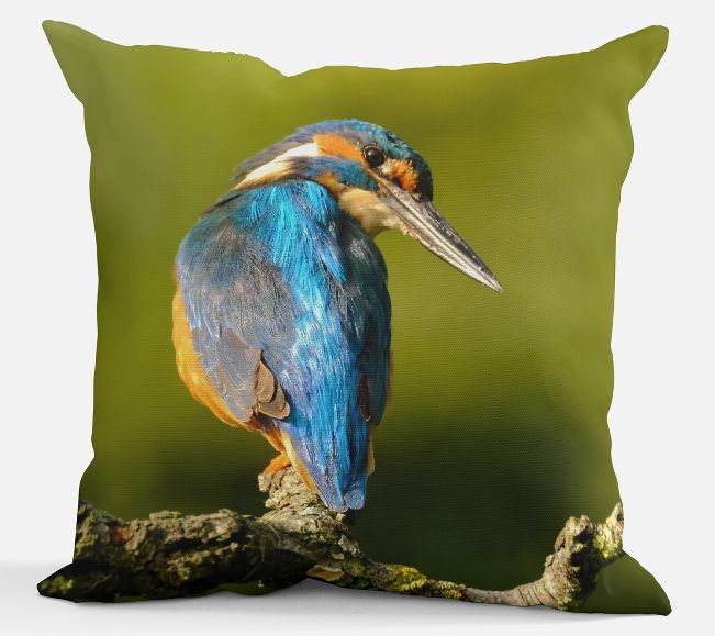 Sierkussen - IJsvogel Blauw
