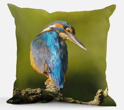 Sierkussen - IJsvogel Blauw