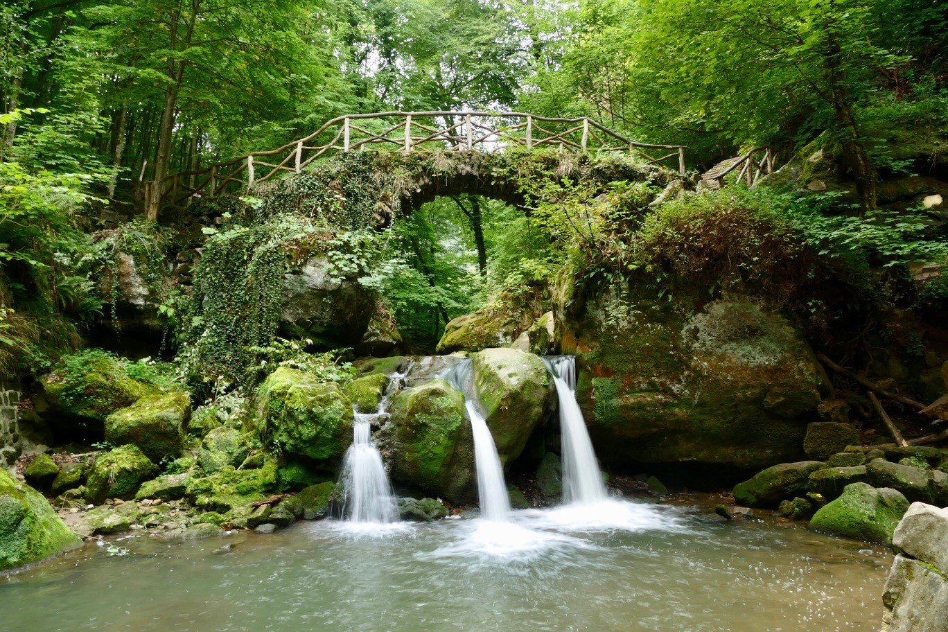 Vierdaagse Natuurbeleving Luxemburg 23-26 oktober 2026