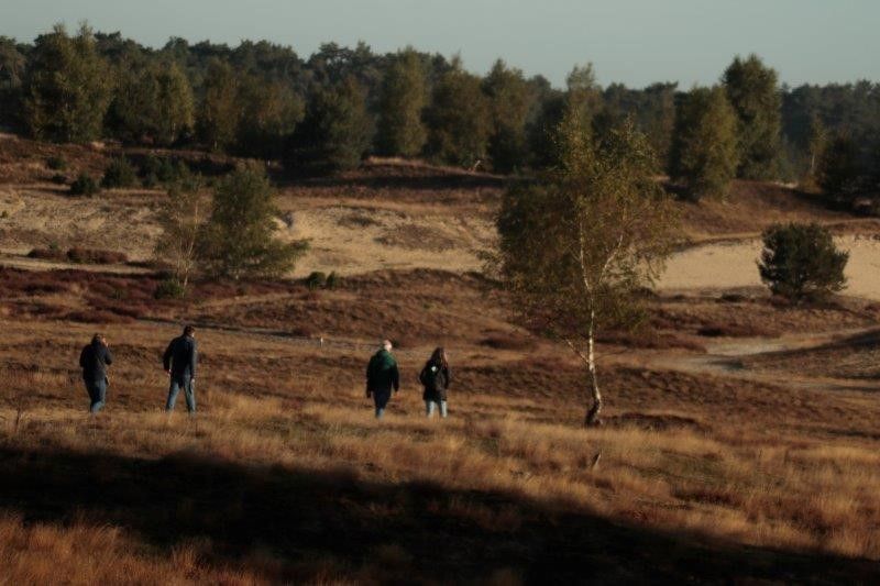 Natuurexcursie Wekeromse Zand 1 november 2026