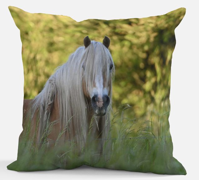 Sierkussen - Paard