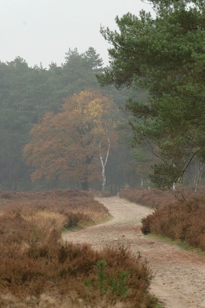 Wandeling Dag van de Aarde - 22 april 2026