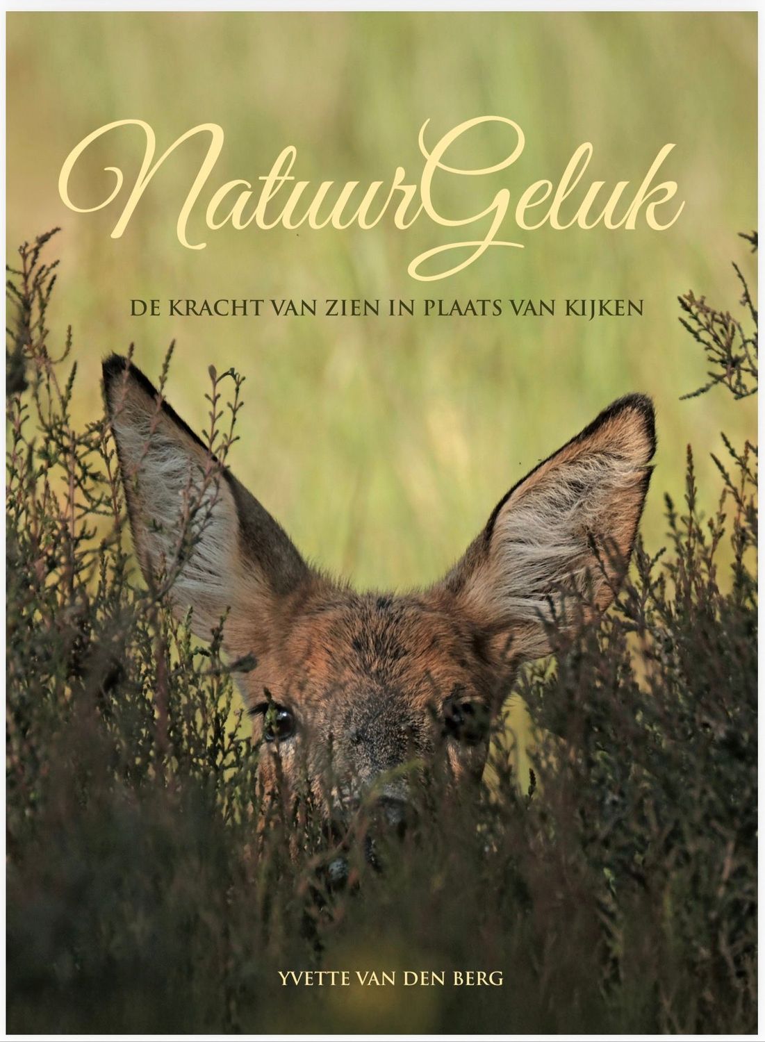 ***Nieuw*** NatuurGeluk en de kracht van Zien i.p.v. Kijken. ***Nieuw*** NatuurGeluk en de kracht van Zien i.p.v. Kijken.
