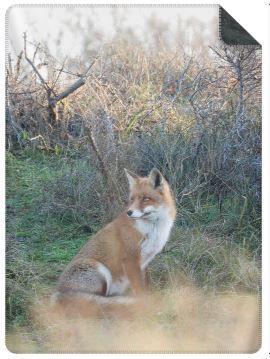 Luxe Plaid Vos - maat L (200x150 cm.) Luxe Plaid Vos - maat L (200x150 cm.)