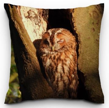 Sierkussen - Bosuil Sierkussen - Bosuil