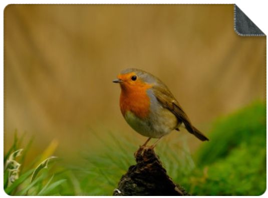 Luxe Plaid Roodborstje - maat L (200x150 cm.) Luxe Plaid Roodborstje - maat L (200x150 cm.)