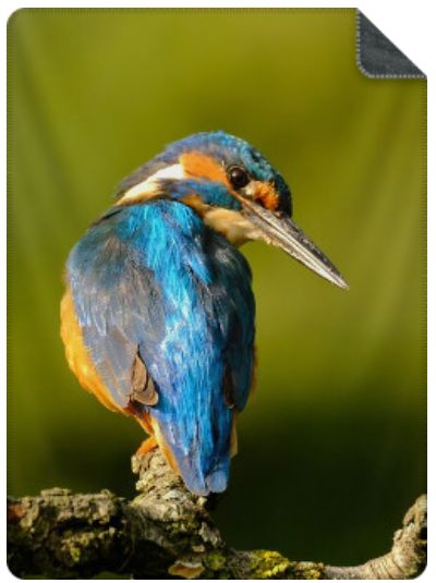 Luxe Plaid IJsvogel - maat L (200x150 cm.) Luxe Plaid IJsvogel - maat L (200x150 cm.)