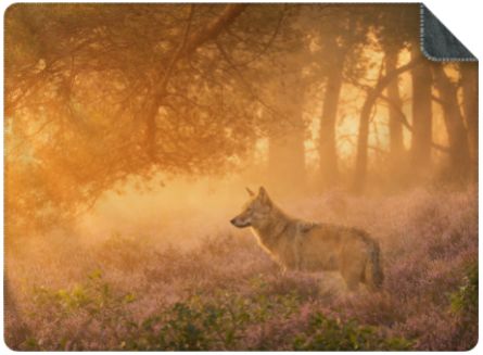 NIEUW: Luxe Plaid Wolf Bram... maat L (200x150 cm.)
