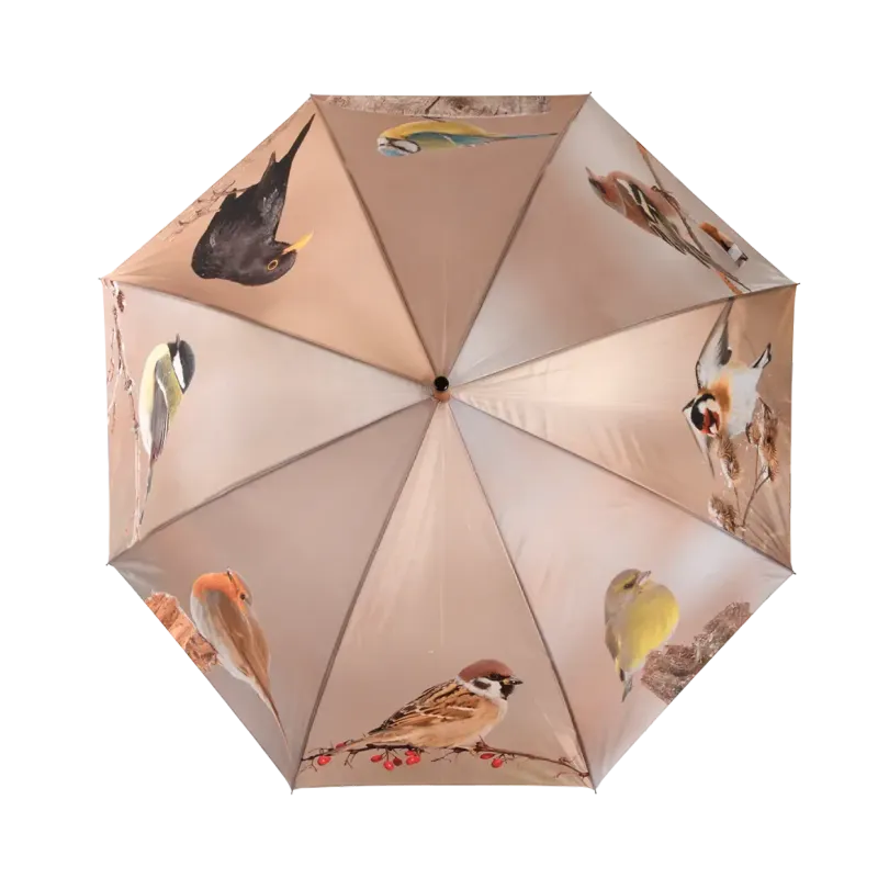 Paraplu  Wintervogels
