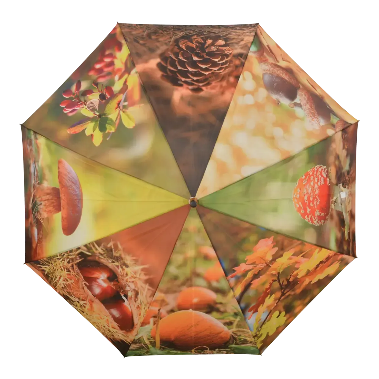 Paraplu Herfst Paraplu Herfst