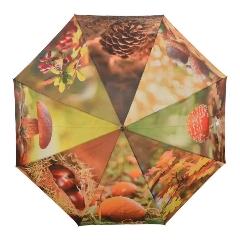 Paraplu  Herfst