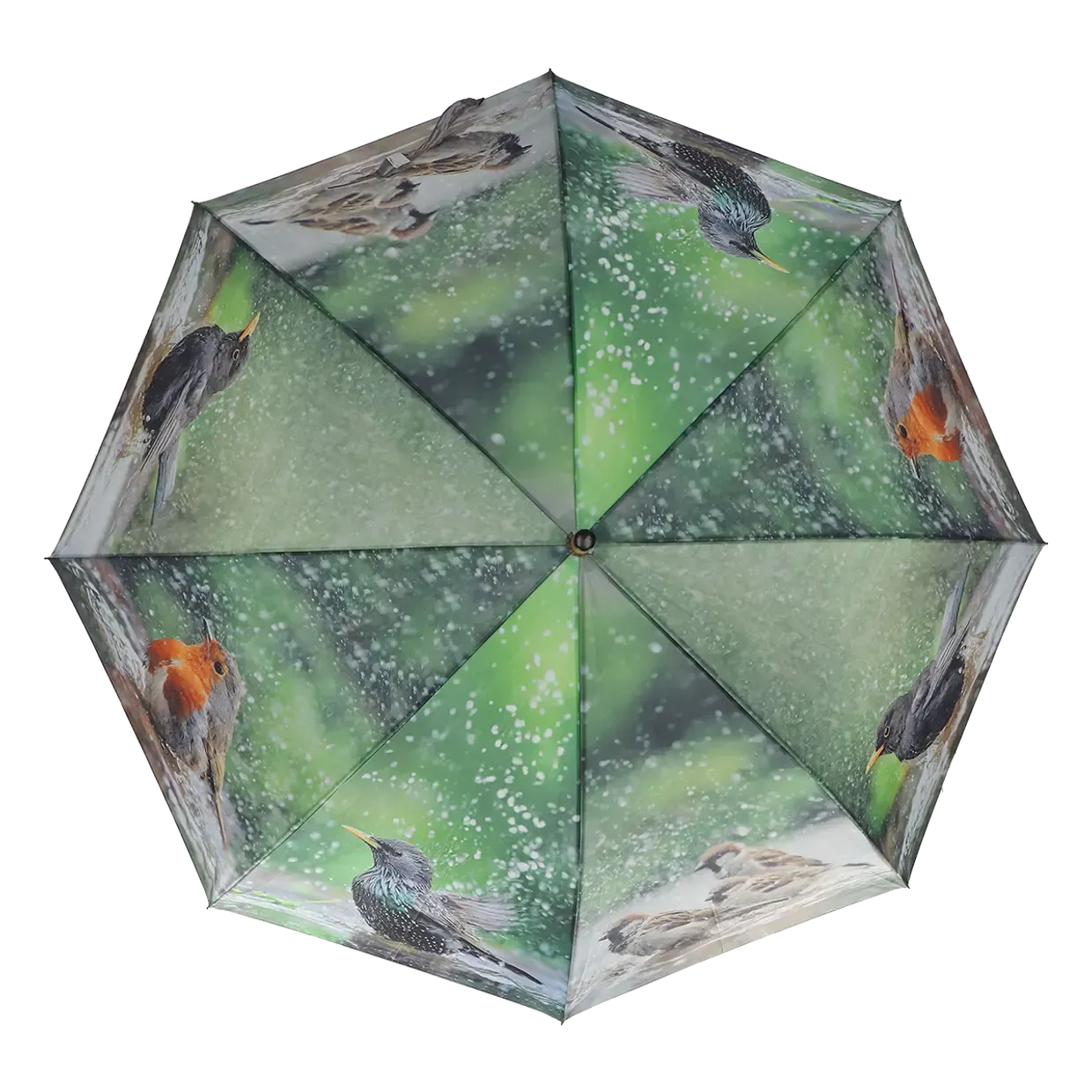 Paraplu Badderende Vogels Paraplu Badderende Vogels