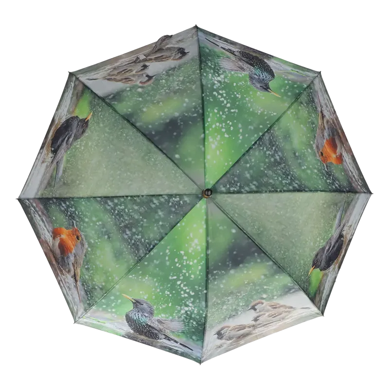 Paraplu  Badderende Vogels