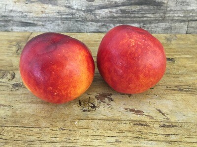 Nectarines Punnet