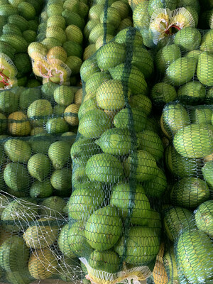 Lemon Bag (-+7kg)