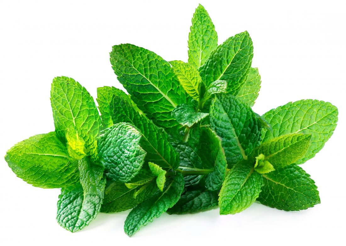 Mint  100g