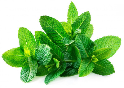 Mint  100g